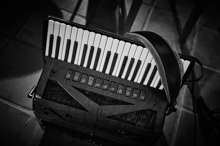 Close view of an accordion and its keyboard, photographed in black and white — Jazz photography by Michaël Gramm